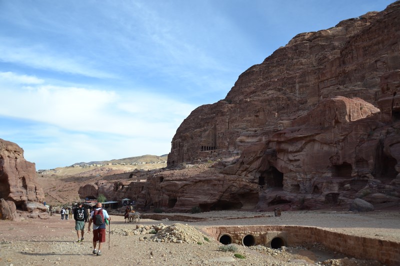 DSC_0405 (Kopiowanie).JPG