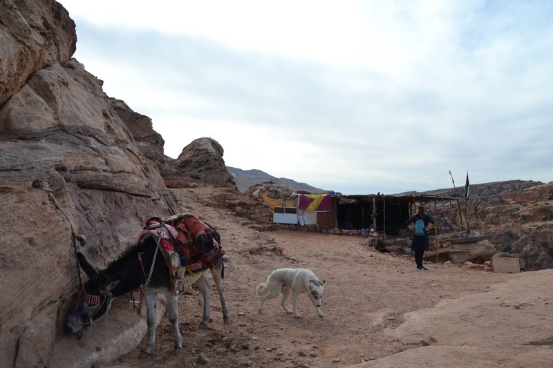 DSC_0448 (Kopiowanie).JPG