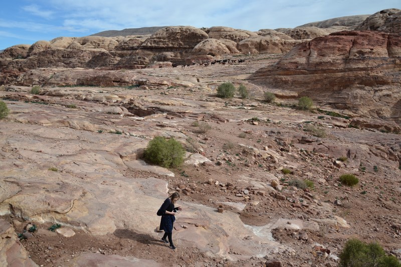 DSC_0458 (Kopiowanie).JPG