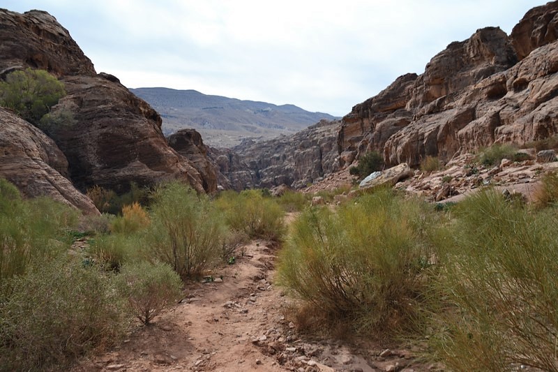 DSC_0461 (Kopiowanie).JPG