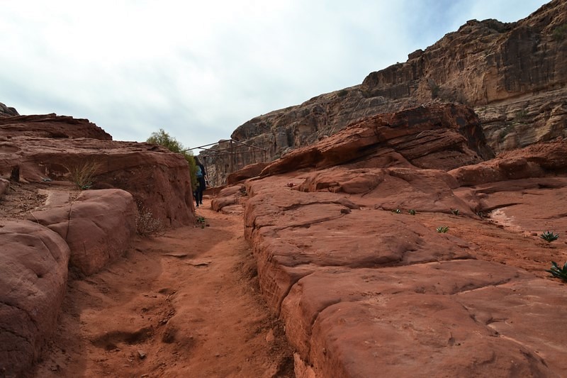 DSC_0473 (Kopiowanie).JPG