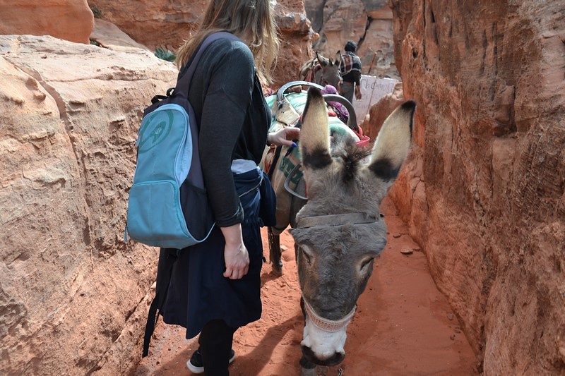 DSC_0475 (Kopiowanie).JPG