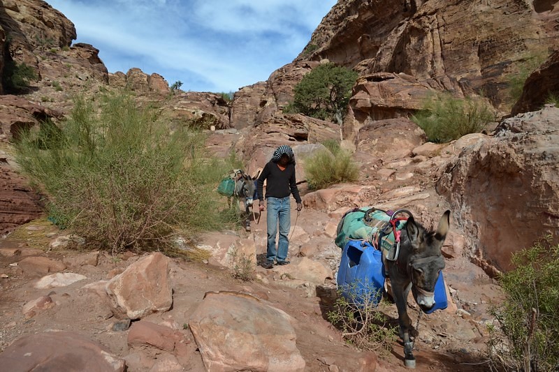 DSC_0486 (Kopiowanie).JPG