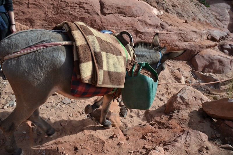 DSC_0487 (Kopiowanie).JPG