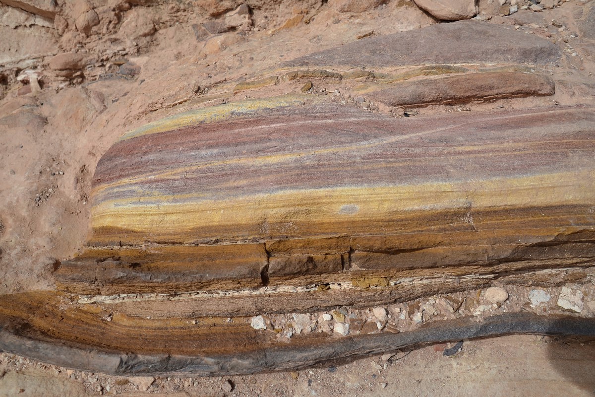 DSC_0488 (Kopiowanie).JPG