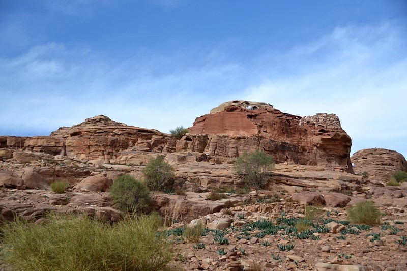 DSC_0490 (Kopiowanie).JPG