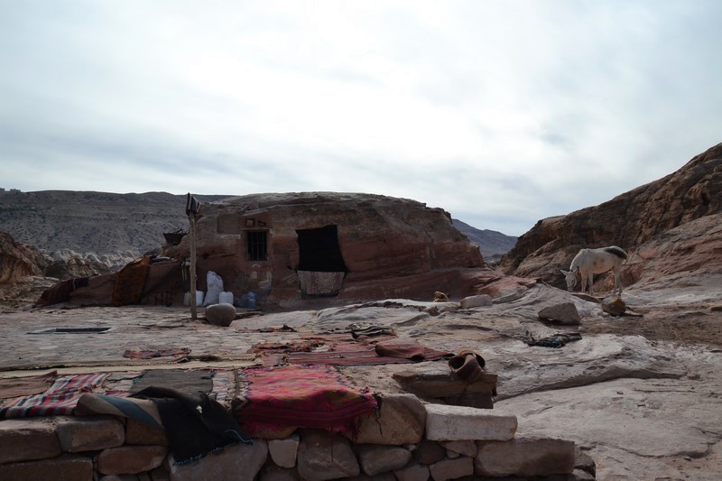 DSC_0493 (Kopiowanie).JPG