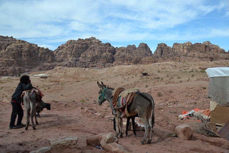 DSC_0507 (Kopiowanie).JPG