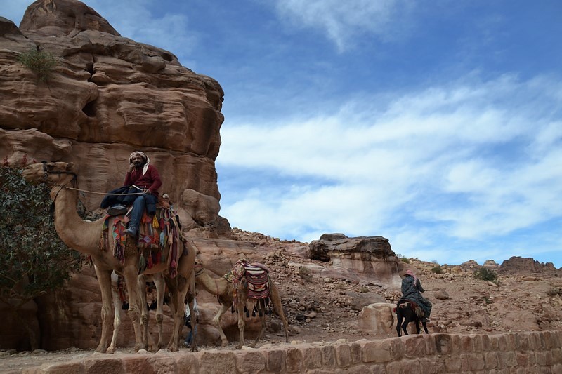 DSC_0510 (Kopiowanie).JPG