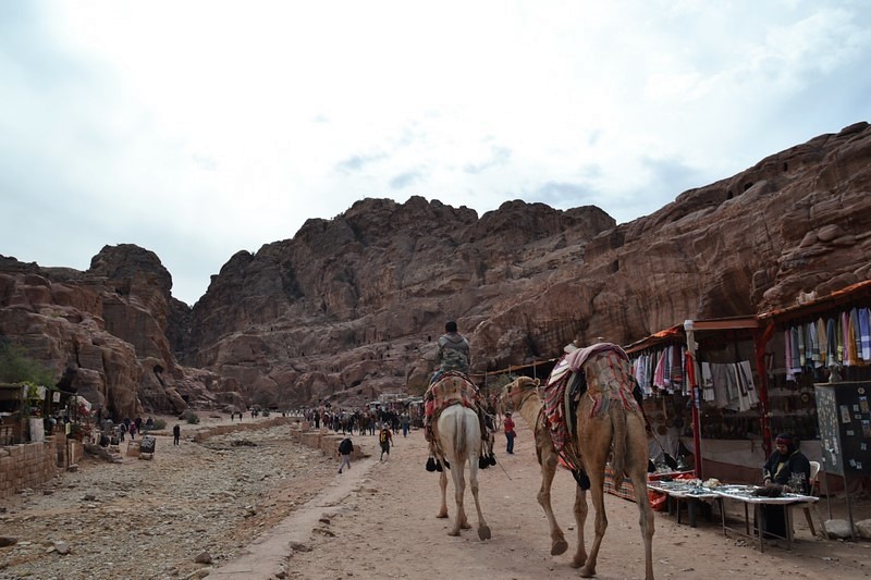 DSC_0511 (Kopiowanie).JPG