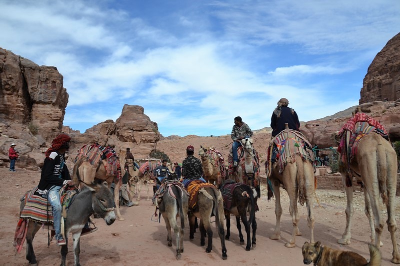 DSC_0514 (Kopiowanie).JPG