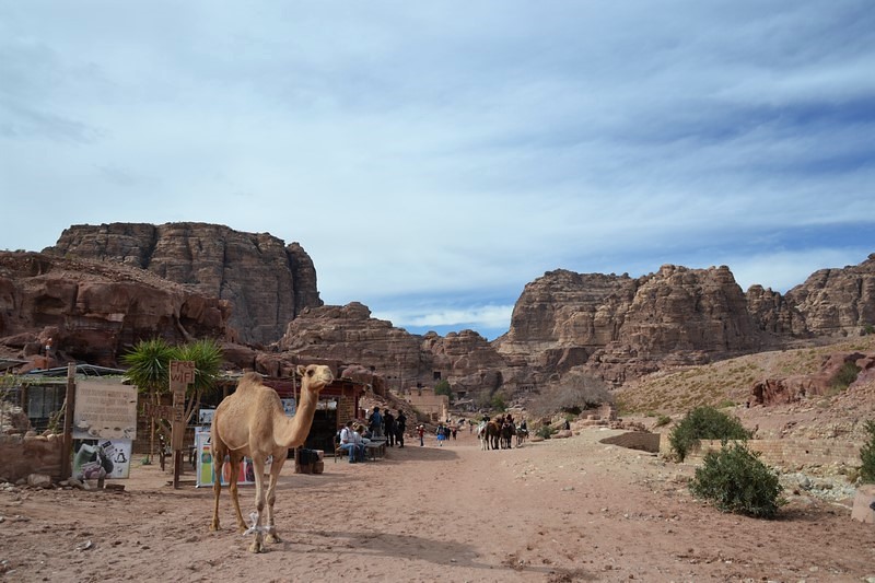 DSC_0528 (Kopiowanie).JPG