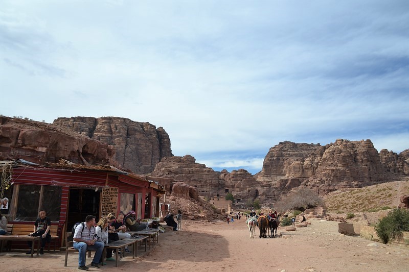 DSC_0534 (Kopiowanie).JPG