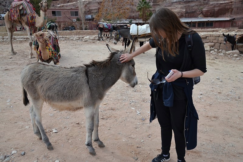 DSC_0564 (Kopiowanie).JPG