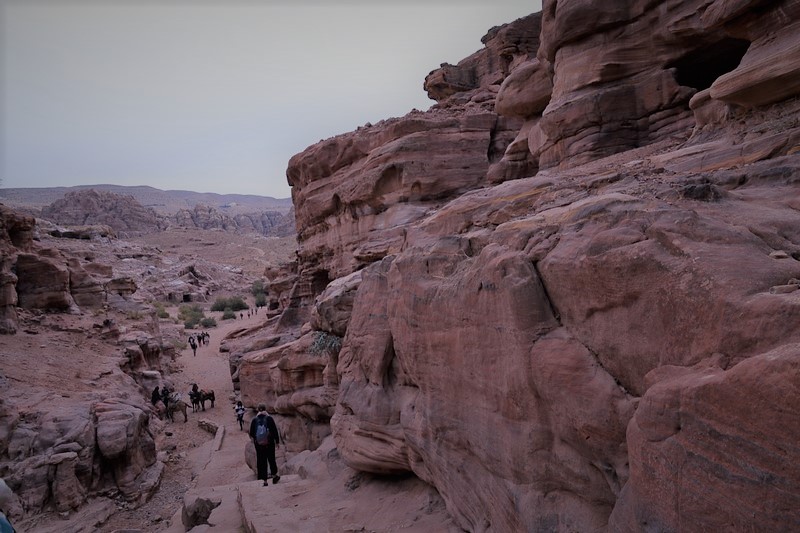 DSC_0567 (Kopiowanie).JPG