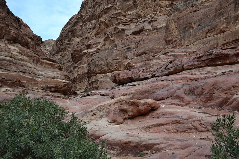 DSC_0577 (Kopiowanie).JPG