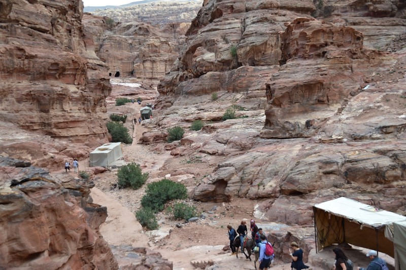 DSC_0581 (Kopiowanie).JPG