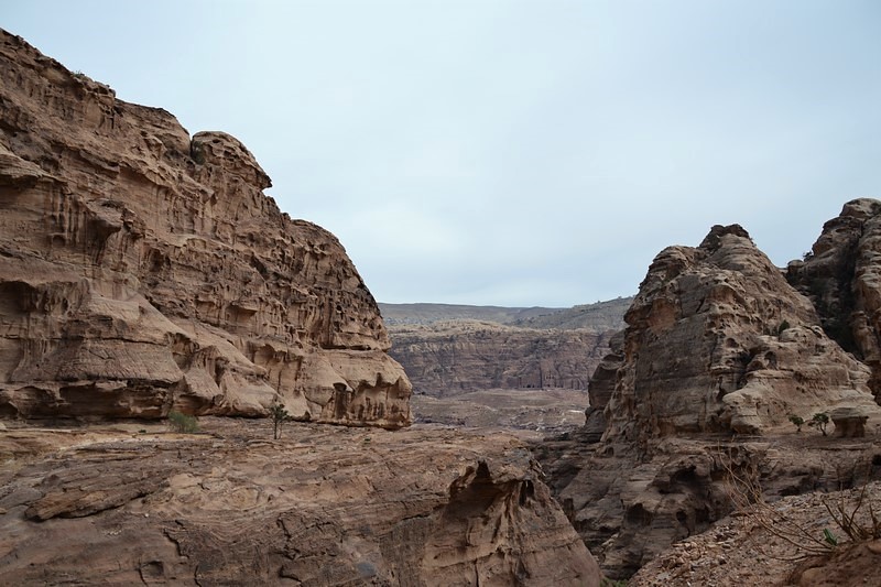 DSC_0590 (Kopiowanie).JPG