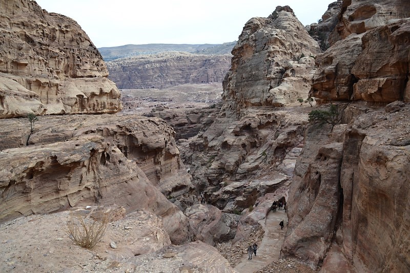 DSC_0592 (Kopiowanie).JPG