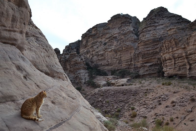 DSC_0618 (Kopiowanie).JPG