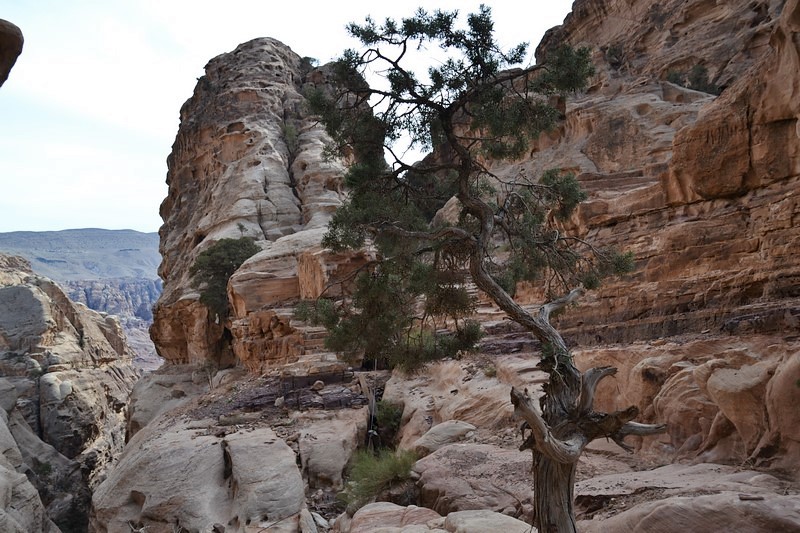 DSC_0621 (Kopiowanie).JPG