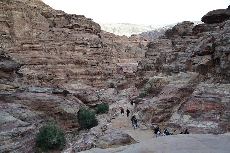 DSC_0626 (Kopiowanie).JPG