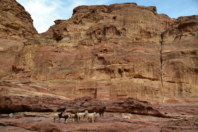 DSC_0630 (Kopiowanie).JPG