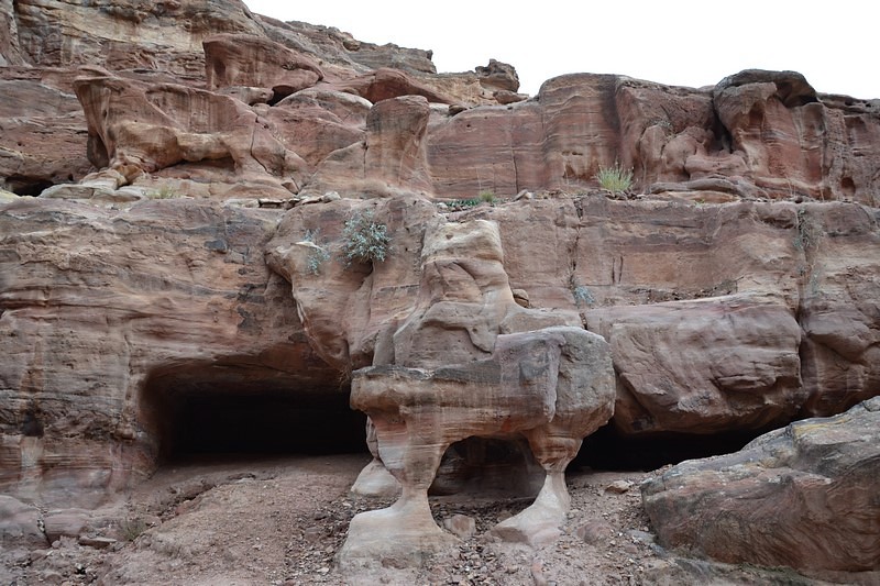 DSC_0642 (Kopiowanie).JPG