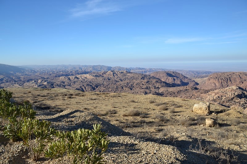 DSC_0678 (Kopiowanie).JPG