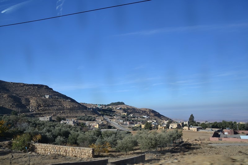 DSC_0684 (Kopiowanie).JPG