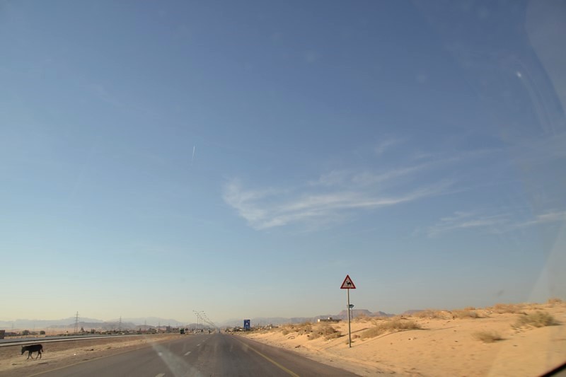 DSC_0711 (Kopiowanie).JPG