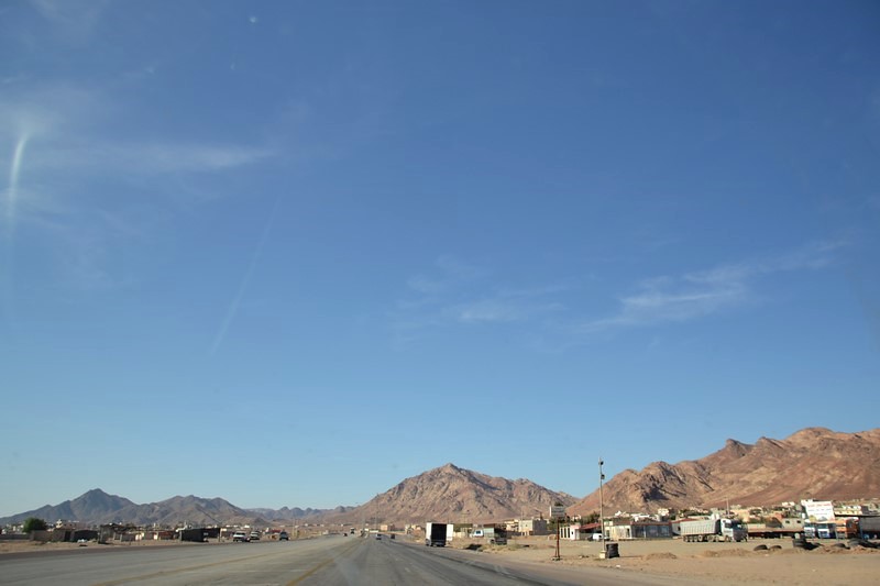 DSC_0731 (Kopiowanie).JPG