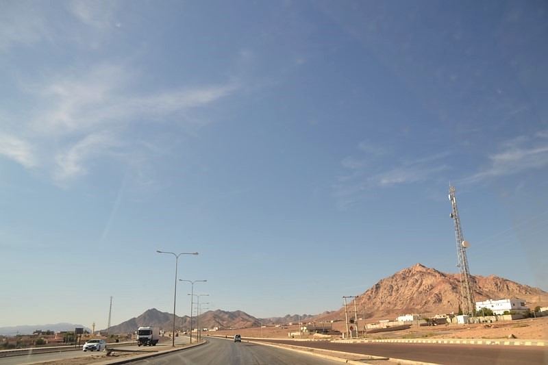 DSC_0733 (Kopiowanie).JPG