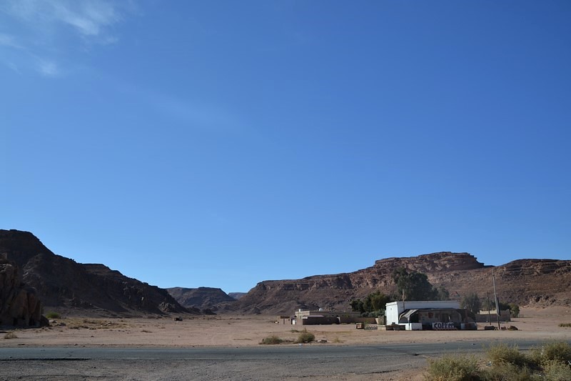 DSC_0766 (Kopiowanie).JPG DSC_0766 (Kopiowanie).JPG