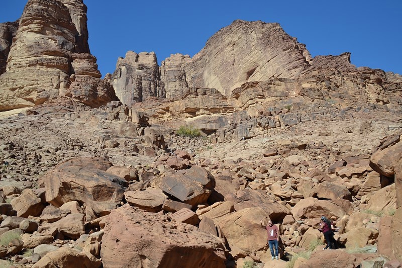 DSC_0830 (Kopiowanie).JPG