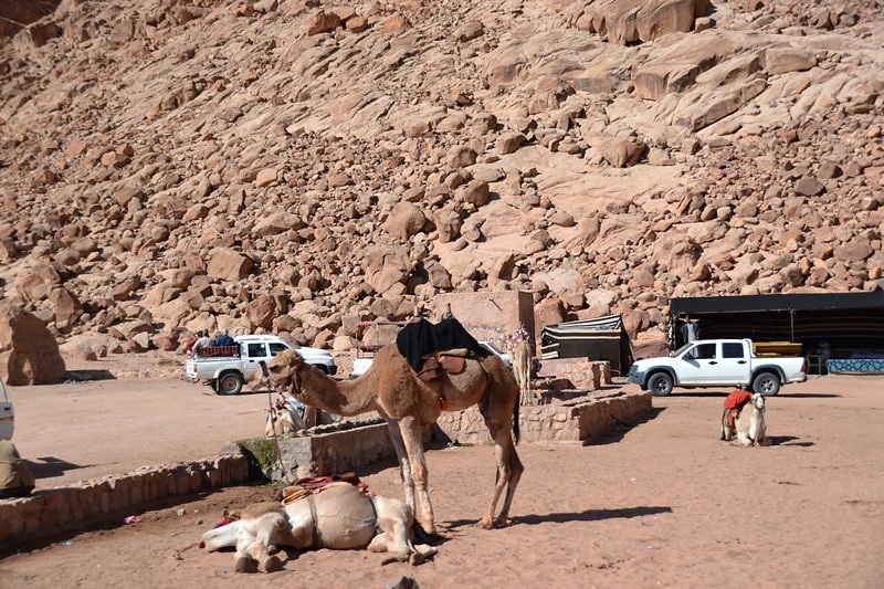 DSC_0836 (Kopiowanie).JPG