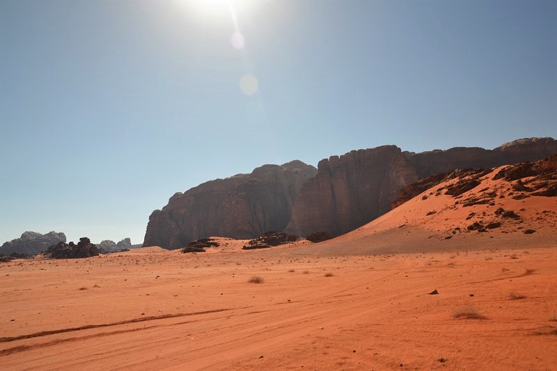 DSC_0860 (Kopiowanie).JPG