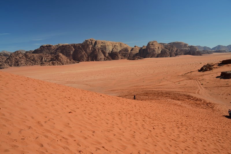 DSC_0870 (Kopiowanie).JPG