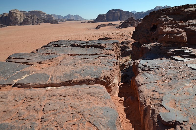 DSC_0881 (Kopiowanie).JPG