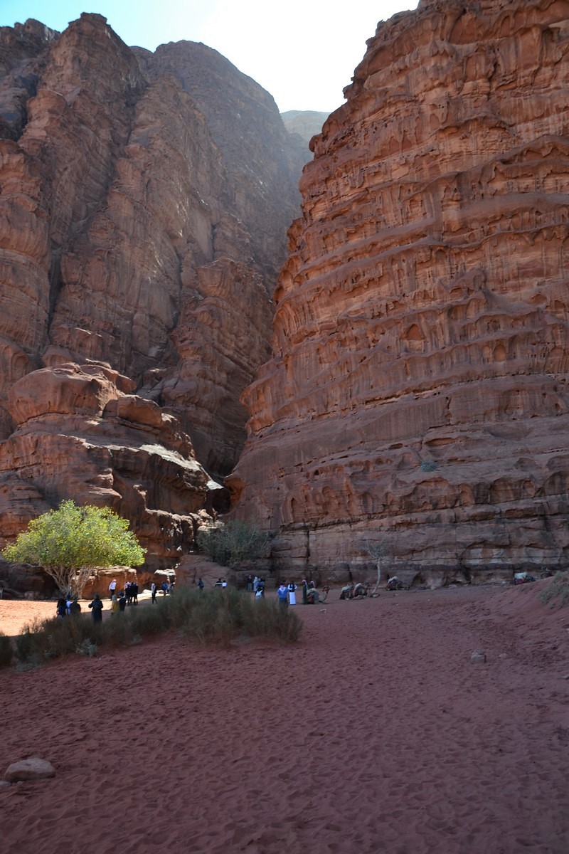 DSC_0891 (Kopiowanie).JPG