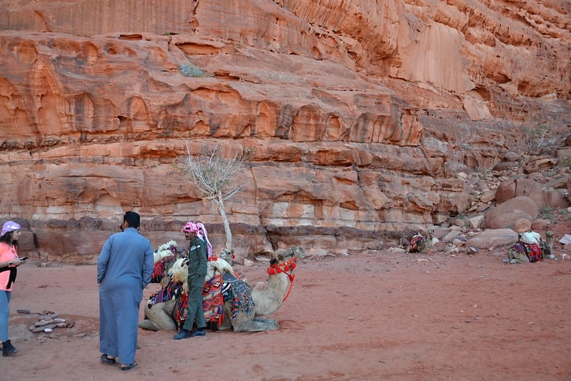 DSC_0894 (Kopiowanie).JPG