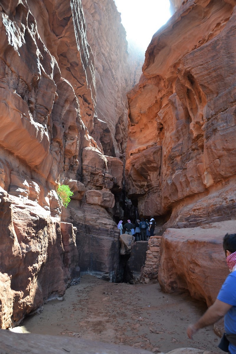 DSC_0898 (Kopiowanie).JPG