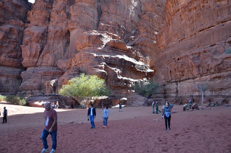 DSC_0918 (Kopiowanie).JPG