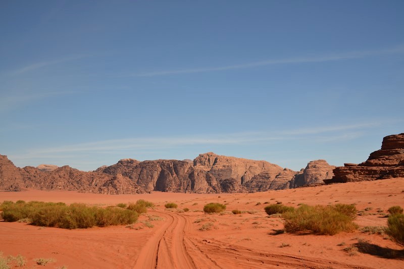 DSC_0930 (Kopiowanie).JPG