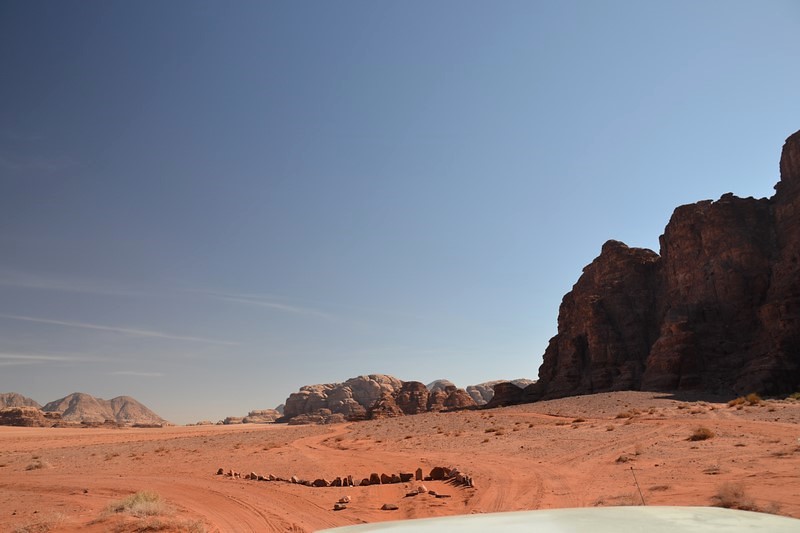 DSC_0988 (Kopiowanie).JPG