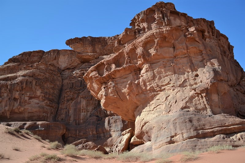 DSC_0994 (Kopiowanie).JPG