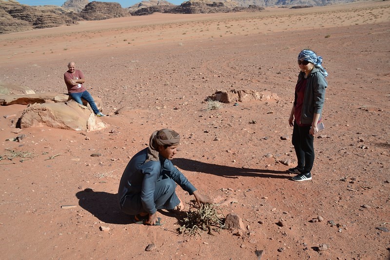 DSC_0999 (Kopiowanie).JPG