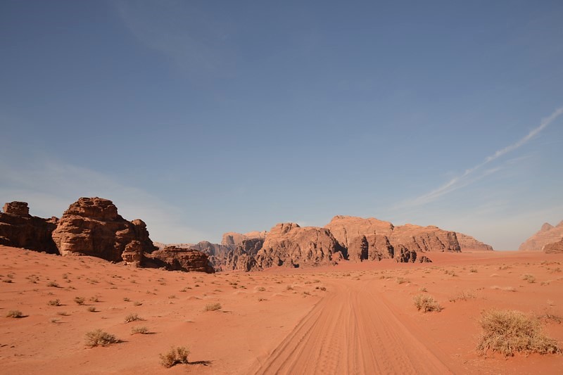 DSC_0006 (Kopiowanie).JPG