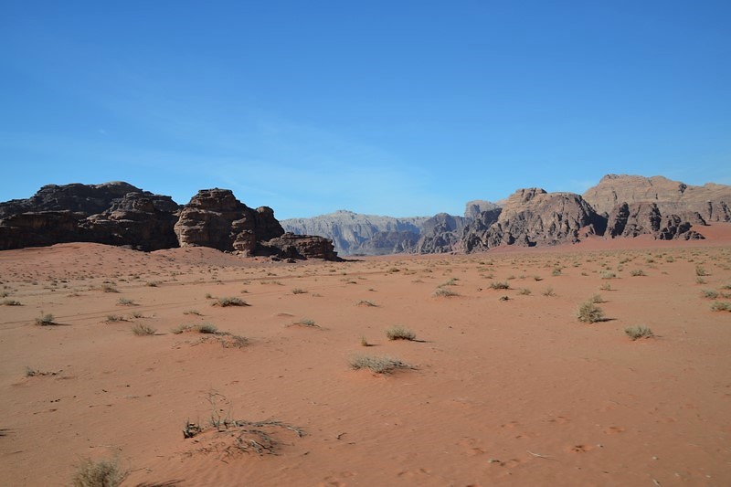 DSC_0012 (Kopiowanie).JPG