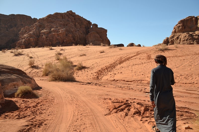 DSC_0018 (Kopiowanie).JPG